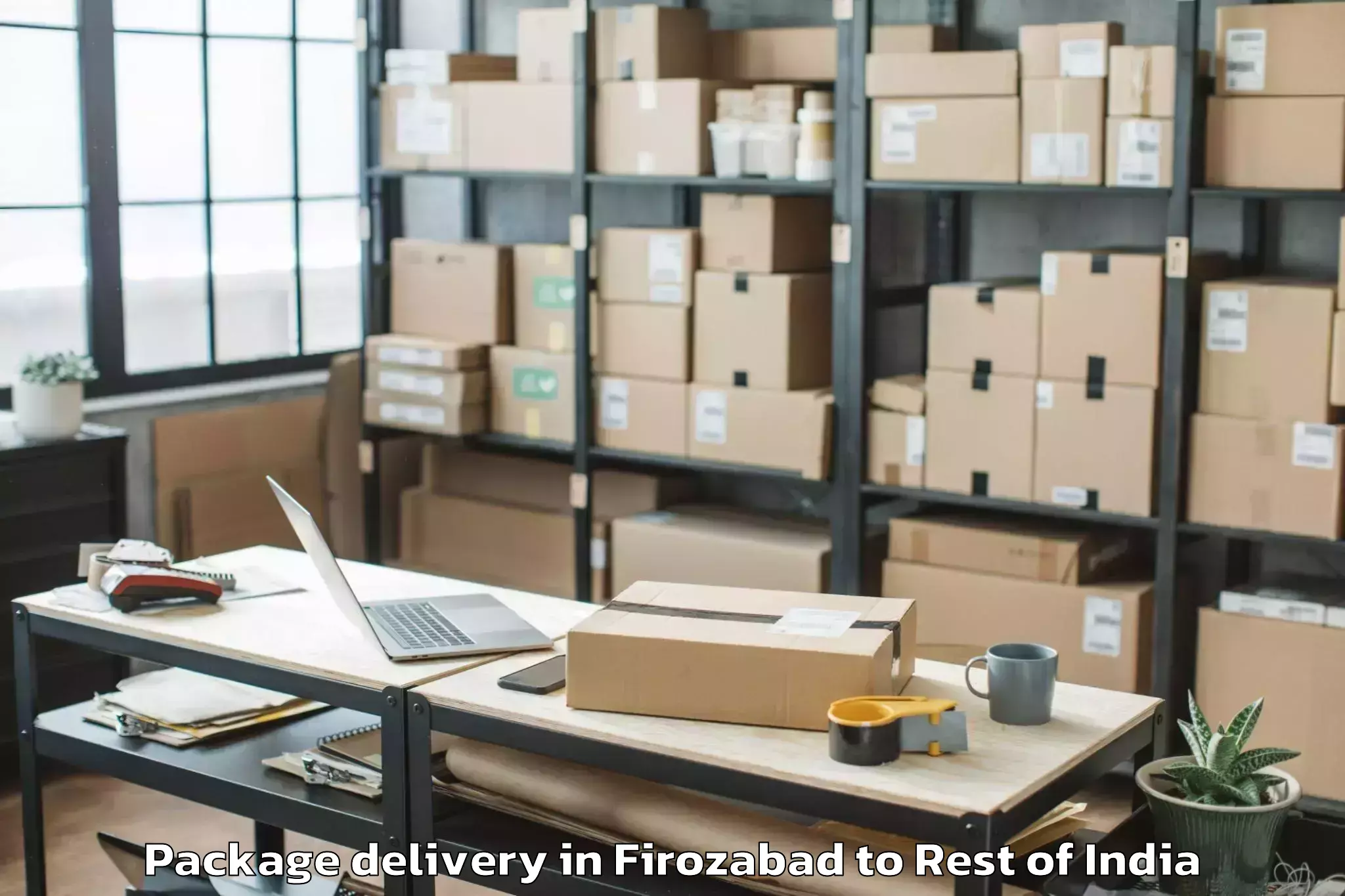 Professional Firozabad to Chadoora Package Delivery